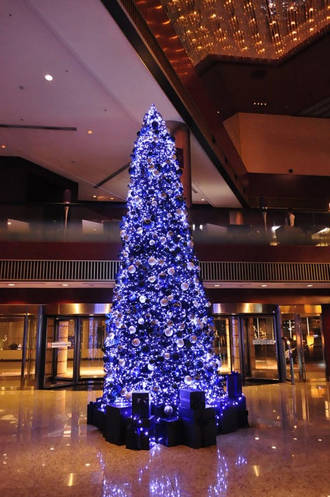 ホテルの贅沢クリスマスツリー 16