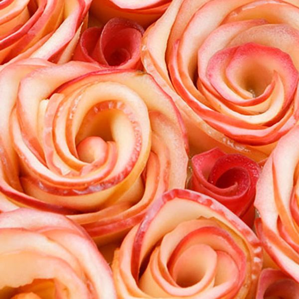 Pink, Rose, Garden roses, Flower, Rose family, Peach, Plant, Petal, Rose order, Food, 