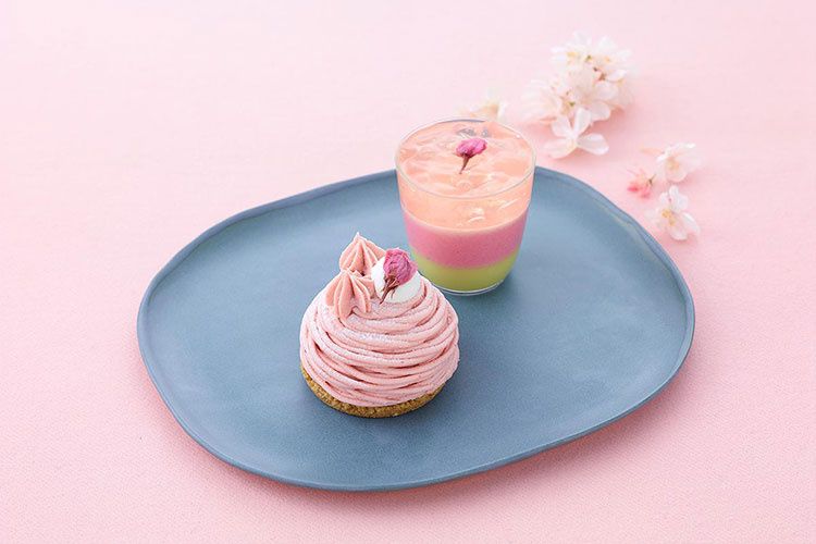 坂倉 花(さかくら さくら) | ご褒美SPスイーツ、素敵なプレート