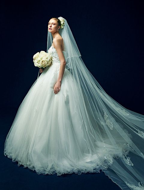 Wedding dress, Bridal accessory, Dress, Gown, Clothing, Bride, Bridal party dress, Veil, Shoulder, Bridal clothing, 