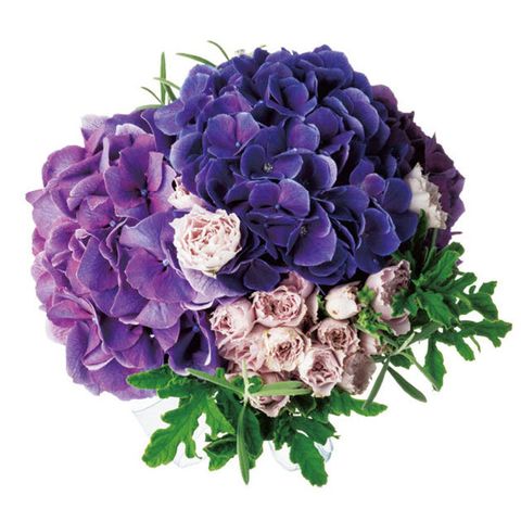 Flower, Bouquet, Purple, Cut flowers, Violet, Plant, Lavender, Flowering plant, Lilac, Rose, 