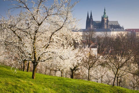 世界の美しすぎる庭園50選 世界の美しすぎる庭園50選