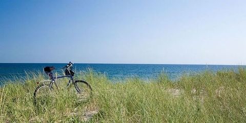 Bicycle, Cycling, Grass, Natural landscape, Grassland, Vehicle, Sea, Coast, Prairie, Grass family, 
