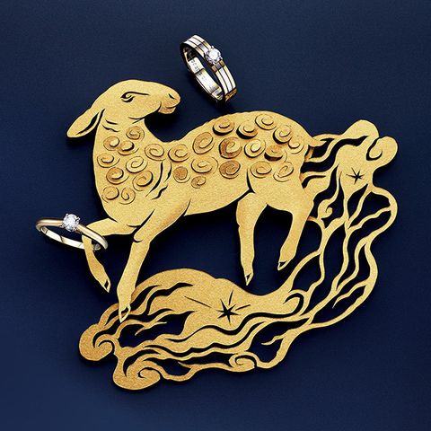 Camel, Camelid, Llama, Illustration, Metal, Livestock, Emblem, Fashion accessory, Symbol, Badge, 