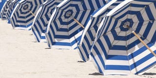 青 と 白 が最もクラシックな組み合わせだと言える23の理由