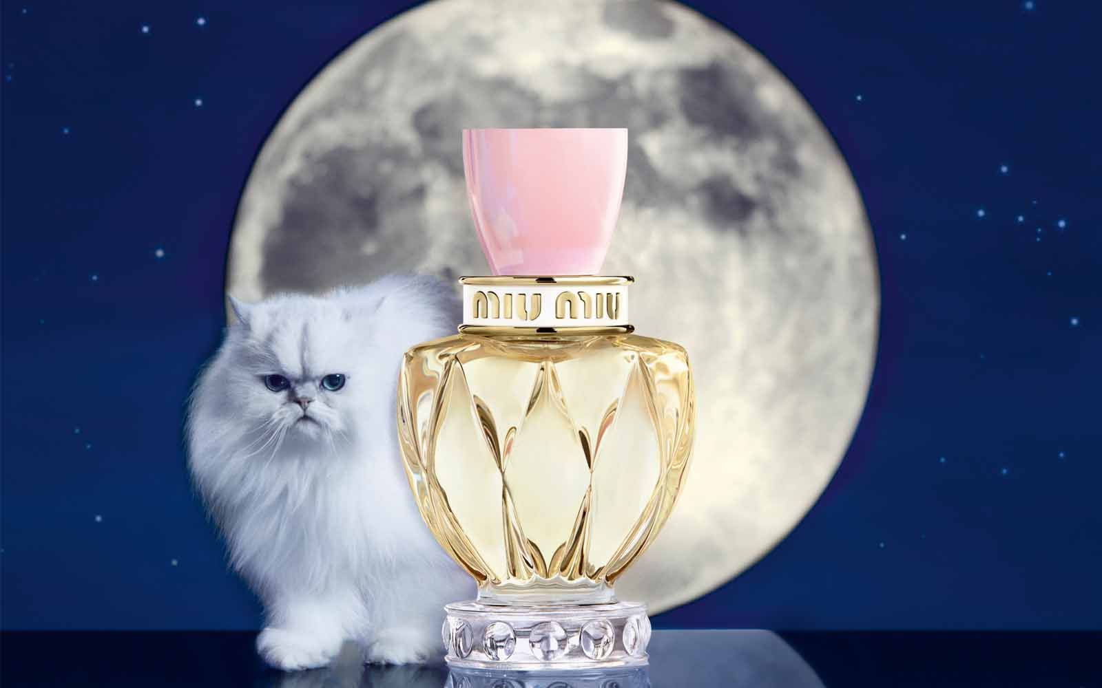 ミュウミュウ MIUMIU ツイスト オードトワレ 香水 50mL - 香水(女性用)