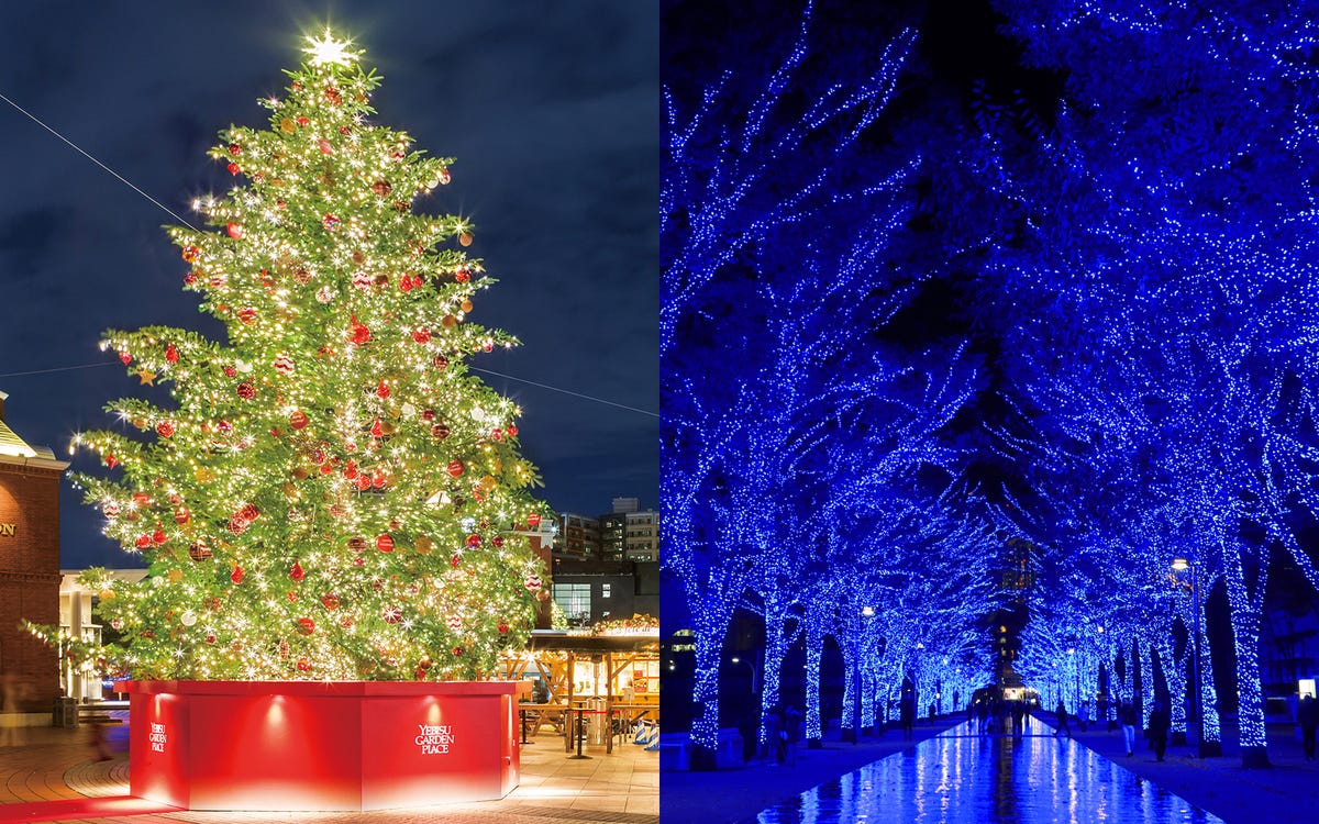幻想的な光に包まれる 17年クリスマスイルミネーションスポット16