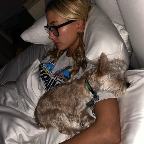 見ているだけで癒される セレブと愛犬の仲良し2ショット集 見ているだけで癒される セレブと愛犬の仲良し2ショット集