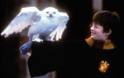 J K Rowling J K ローリング に関する最新記事 エル ガール Ellegirl 公式