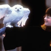 J K Rowling J K ローリング に関する最新記事 エル ガール Ellegirl 公式 J K Rowling J K ローリング に関する最新記事 エル ガール Ellegirl 公式