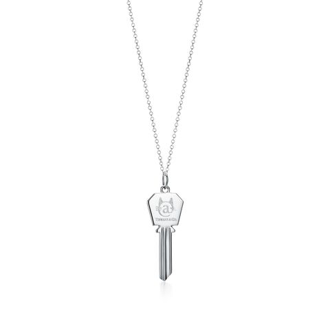 Necklace, Pendant, Jewellery, Fashion accessory, Chain, Locket, Silver, 