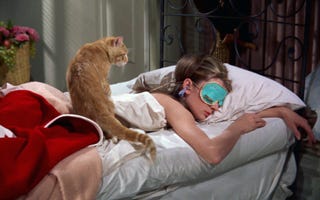 2月22日は猫の日 愛猫家がキュンキュンする映画10選