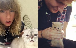 セレブと愛猫たちの胸キュン写真集