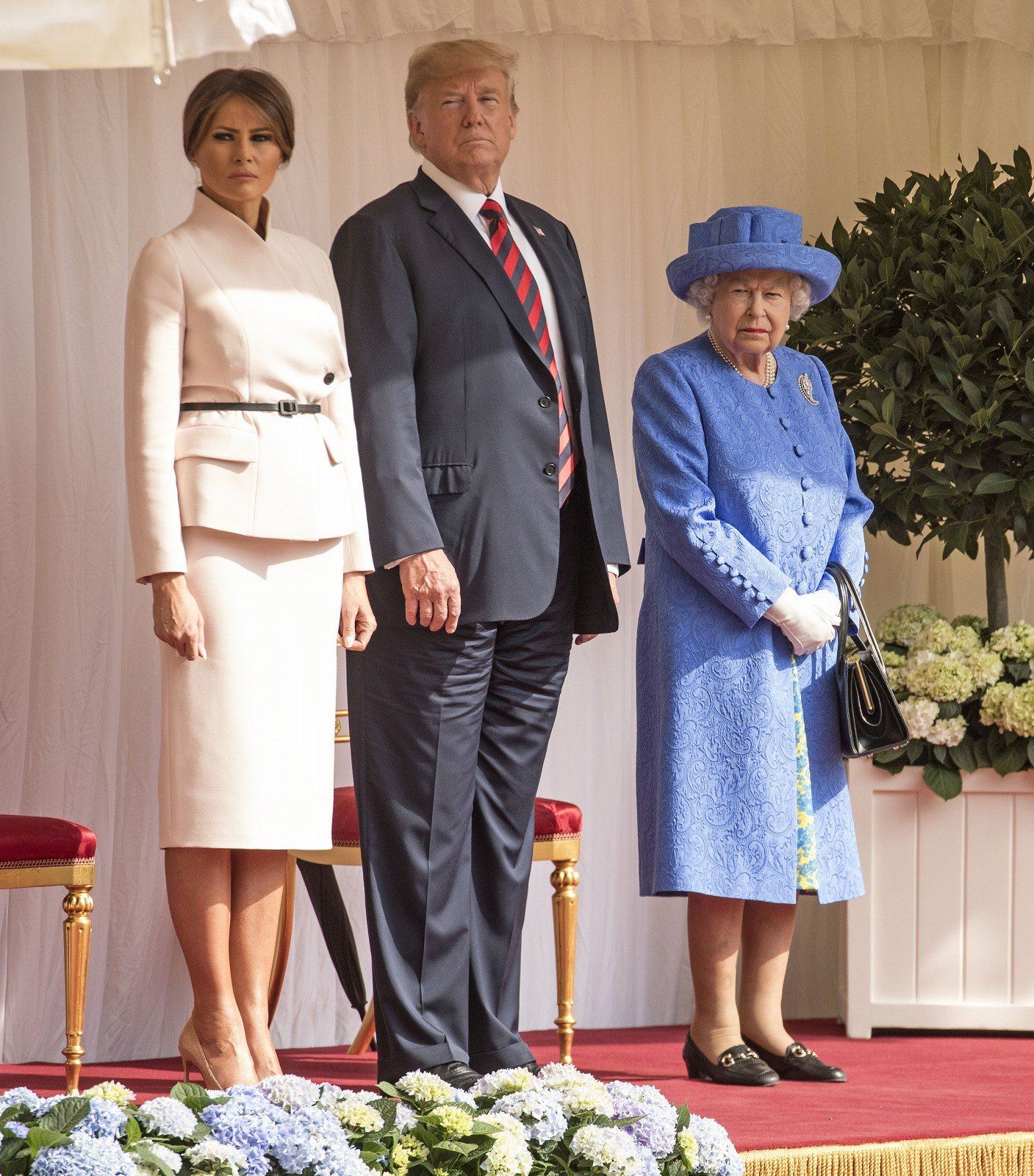 エリザベス　トランプ 997871834.jpg-small.jpg