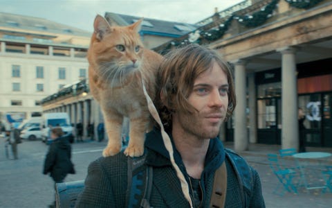 2月22日は猫の日 愛猫家がキュンキュンする映画10選
