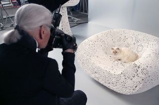 シュウ ウエムラ とカール ラガーフェルドの愛猫 シュペットのコラボが実現