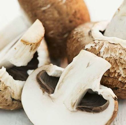 White, Ingredient, Natural material, Beige, Tan, Close-up, Still life photography, Edible mushroom, Whole food, 