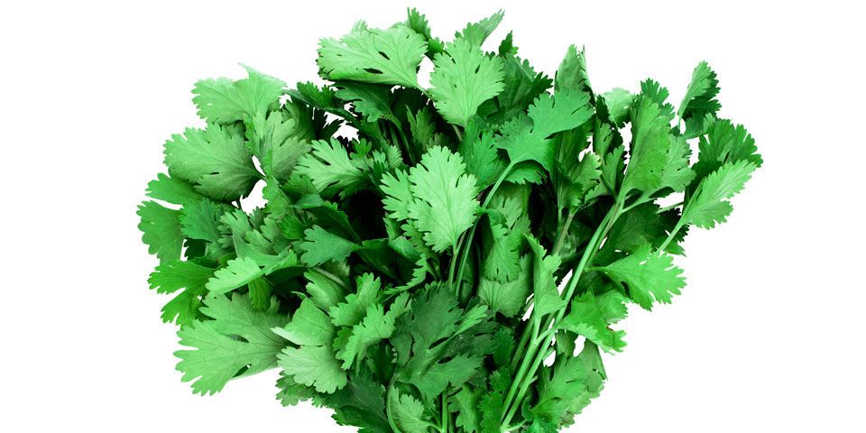 Leaf, Plant, Parsley, Leaf vegetable, Flower, Herb, Chervil, Vegetable, Culantro, Coriander, 