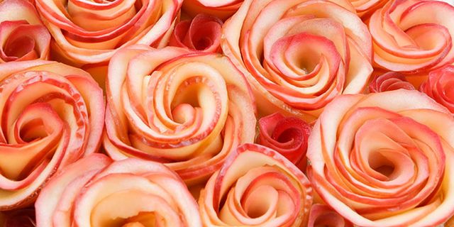 Pink, Rose, Garden roses, Flower, Peach, Rose family, Plant, Petal, Rose order, Food, 