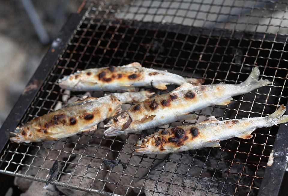 バーベキューでこんがり焼いた肉や魚