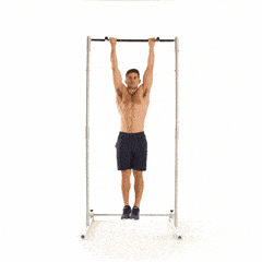 Shoulder, Horizontal bar, Physical fitness, Arm, Standing, Pull-up, Free weight bar, Parallel bars, Artistic gymnastics, Joint, 