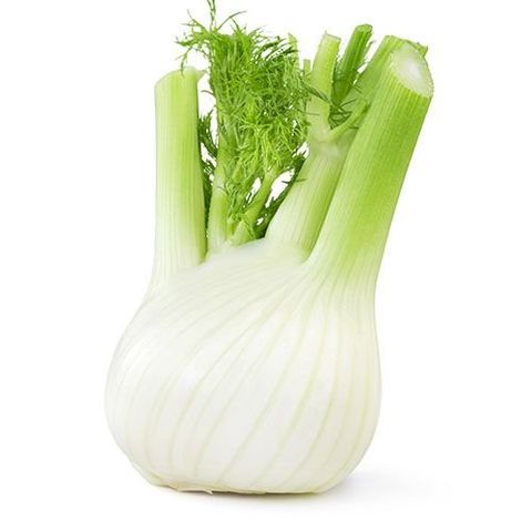 Fennel, Vegetable, Plant, Food, Celery, Ingredient, Produce, 