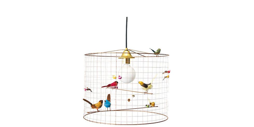 Cage, Bird supply, Product, Net, Bird, Pet supply, 