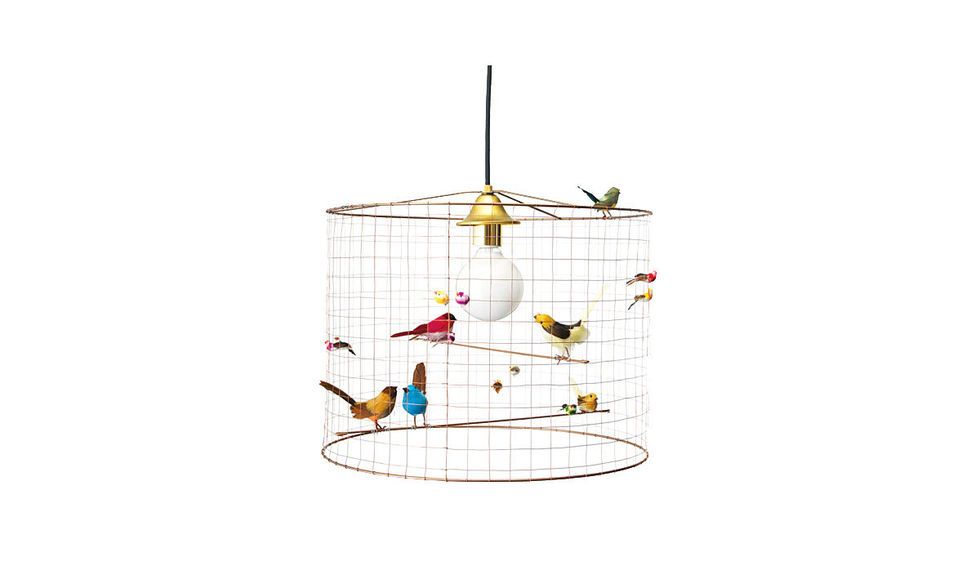 Cage, Bird supply, Product, Net, Bird, Pet supply, 