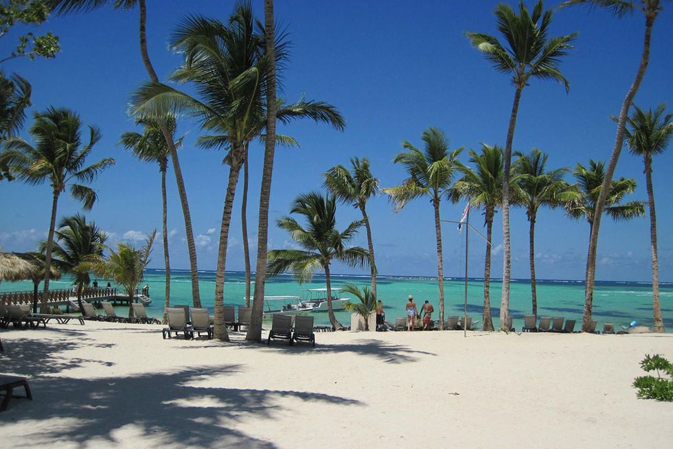 Tree, Beach, Tropics, Vacation, Palm tree, Caribbean, Arecales, Sky, Shore, Woody plant, 