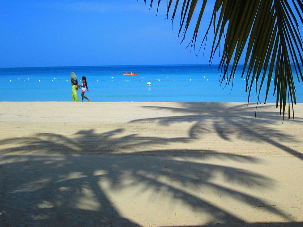 Beach, Tree, Sky, Palm tree, Ocean, Tropics, Sea, Vacation, Blue, Caribbean, 