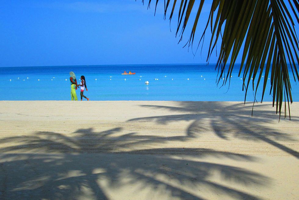 Beach, Tree, Sky, Palm tree, Ocean, Tropics, Sea, Vacation, Blue, Caribbean, 