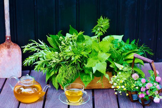 Herb, Plant, Flower, Leaf vegetable, Houseplant, Botany, Vegetable, Still life, Garden, Fines herbes, 