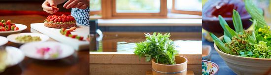 Flowerpot, Houseplant, Herb, Hardwood, Plant, Window, Deck, Wood, Wood stain, Home, 