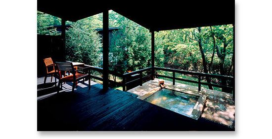 Nature, Vegetation, Shade, Outdoor furniture, Outdoor structure, Bridge, Landscaping, Outdoor table, Patio, Rainforest, 