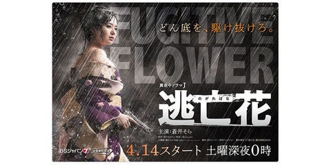 蒼井そら この大人女優がアジアを一世風靡している本当の理由