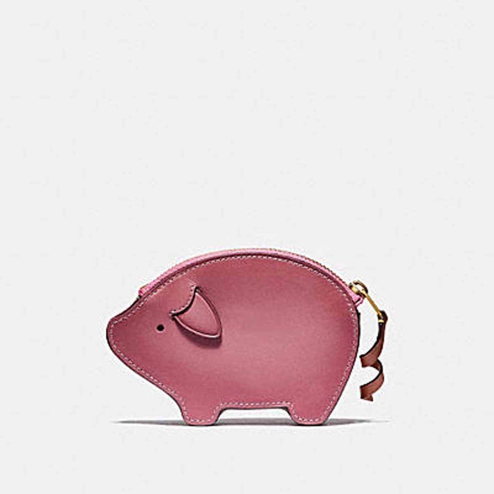 Domestic pig, Coin purse, Pink, Piggy bank, Snout, Suidae, Fashion accessory, Illustration, Rodent, Livestock, 