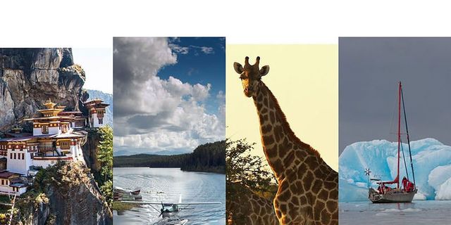 Giraffe, Giraffidae, Wildlife, Adaptation, Terrestrial animal, Sky, Organism, Tourism, Stock photography, Collage, 
