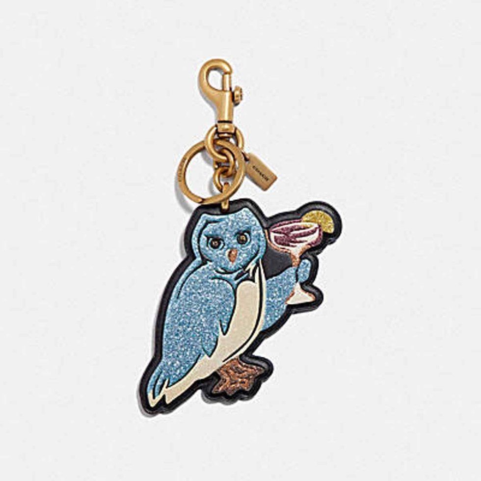 Owl, Keychain, Bird, Barn owl, Fashion accessory, Bird of prey, Parrot, Chain, Jewellery, 