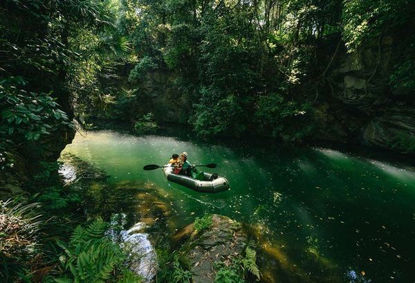 Nature, Green, Nature reserve, Watercourse, River, Jungle, Natural environment, Water resources, Wilderness, Vehicle, 