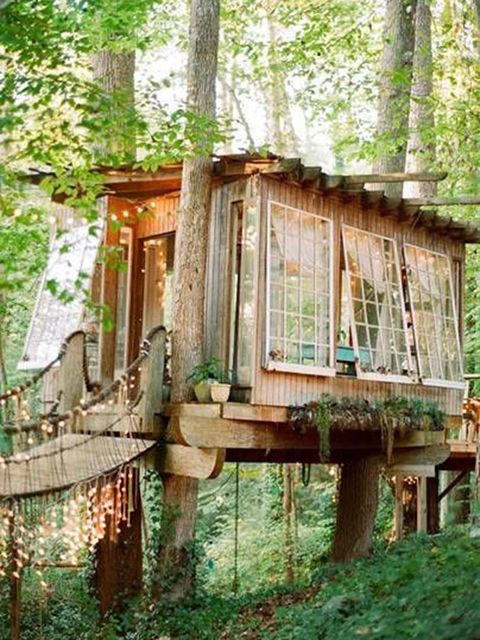Tree house, House, Building, Tree, Shed, Outdoor structure, Wood, Log cabin, Shack, 