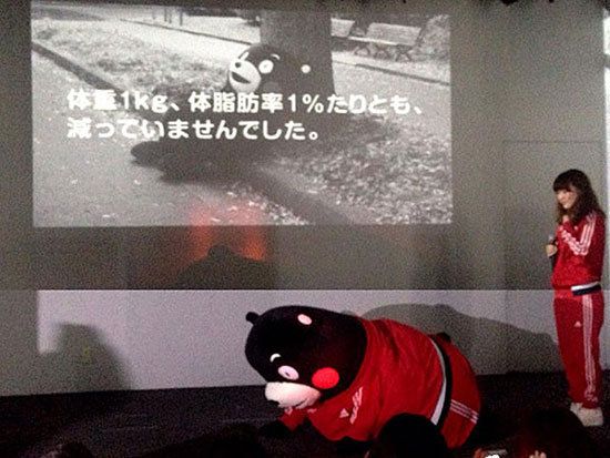 Carmine, Projection screen, Toy, Display device, Multimedia, Stuffed toy, Bear, Projector accessory, Boot, Panda, 