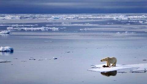 北極が記録破りの暖かさ 海に浮かぶ氷の減少による悪影響とは