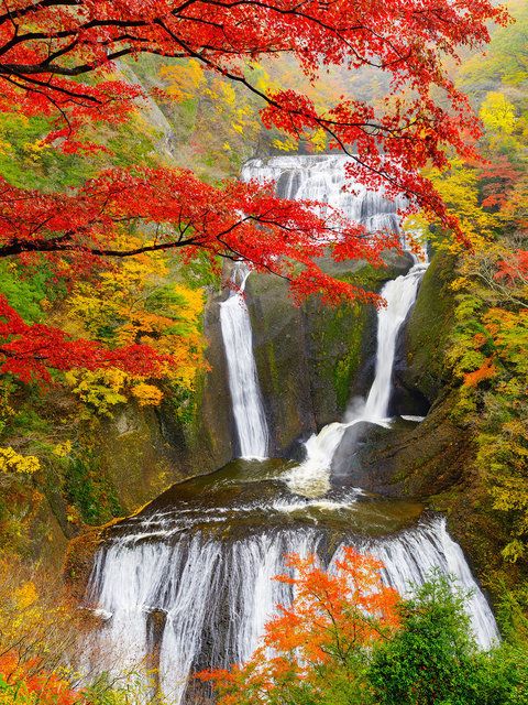 Waterfall, Natural landscape, Body of water, Nature, Tree, Leaf, Autumn, State park, Watercourse, Stream, 