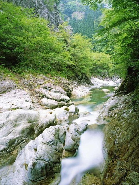 Body of water, Water resources, Nature, Stream, Watercourse, Water, River, Natural landscape, Mountain river, Wilderness, 