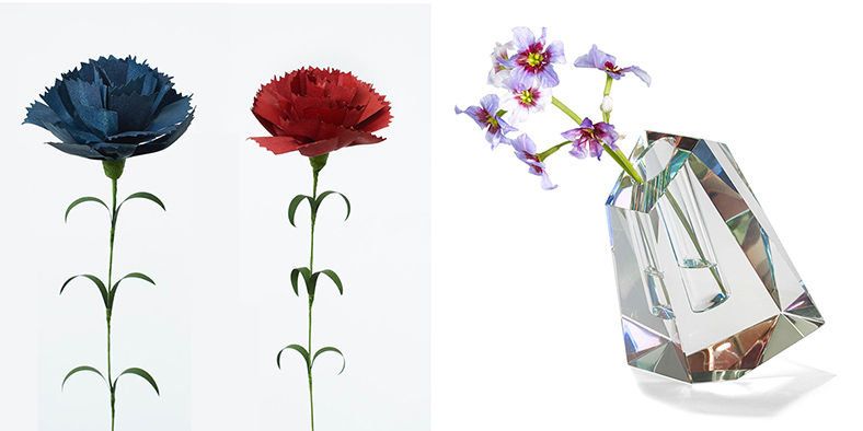 Flower, Plant, Cut flowers, Botany, Flowering plant, Artificial flower, Petal, Vase, Floral design, Wildflower, 