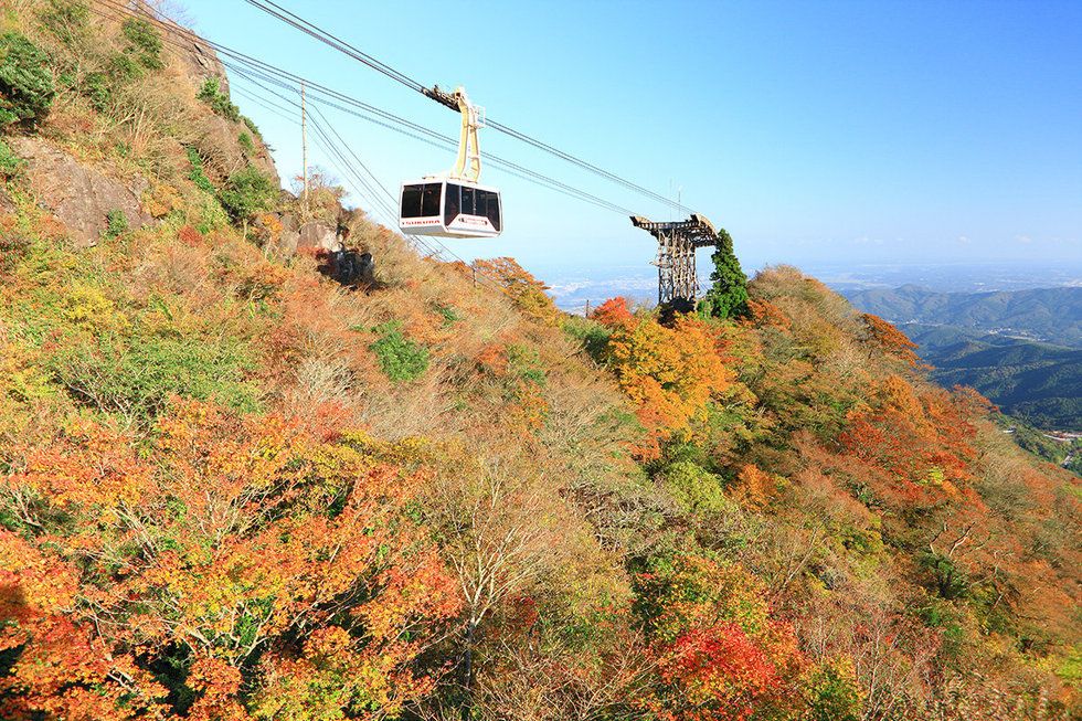Cable car, Leaf, Sky, Mountain, Tree, Cable car, Autumn, Wilderness, Hill, Hill station, 