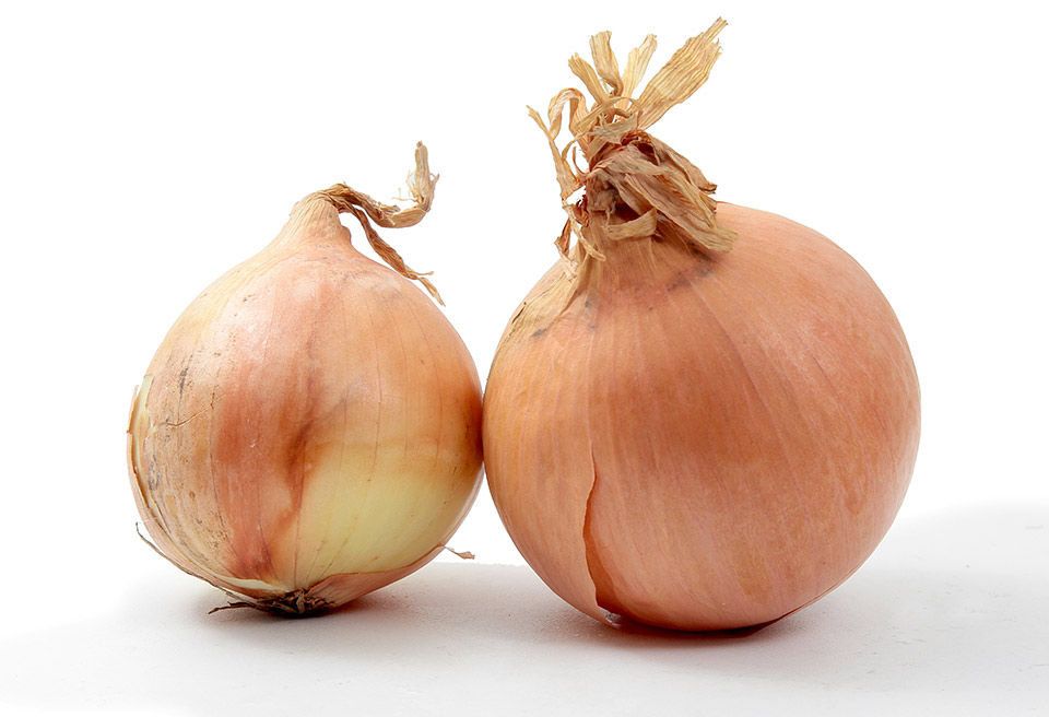 Yellow onion, Shallot, Vegetable, Onion, Food, Natural foods, Plant, Pearl onion, Produce, Root vegetable, 