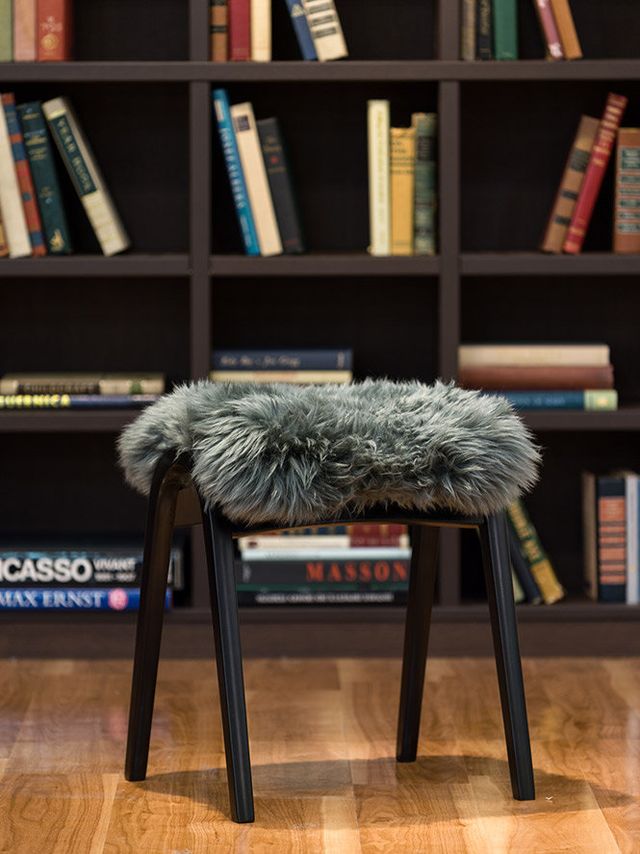 Furniture, Stool, Table, Chair, Wood, Fur, Bar stool, Room, Book, Bookcase, 
