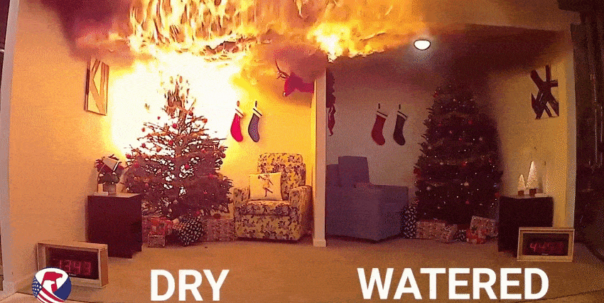 Room, Tree, Fire, Heat, 