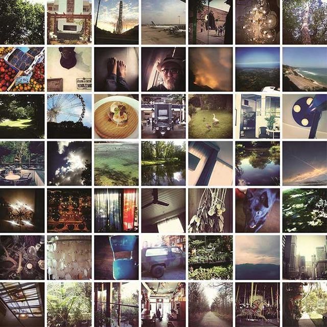 Nature, Organism, Collage, Adaptation, Wildlife, Stock photography, Screenshot, 